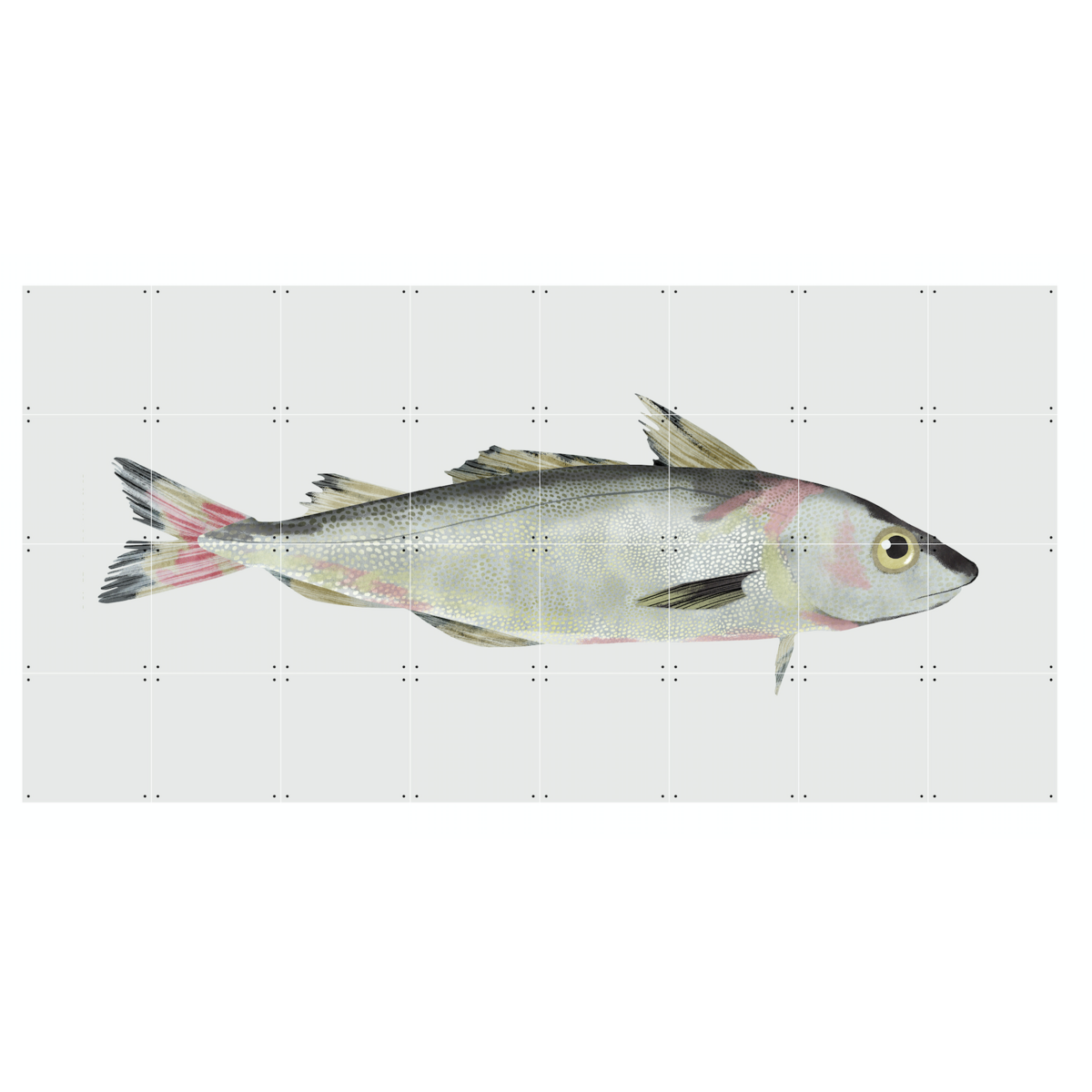 IXXI - Haddock Wall art - Poster - Wanddecoratie