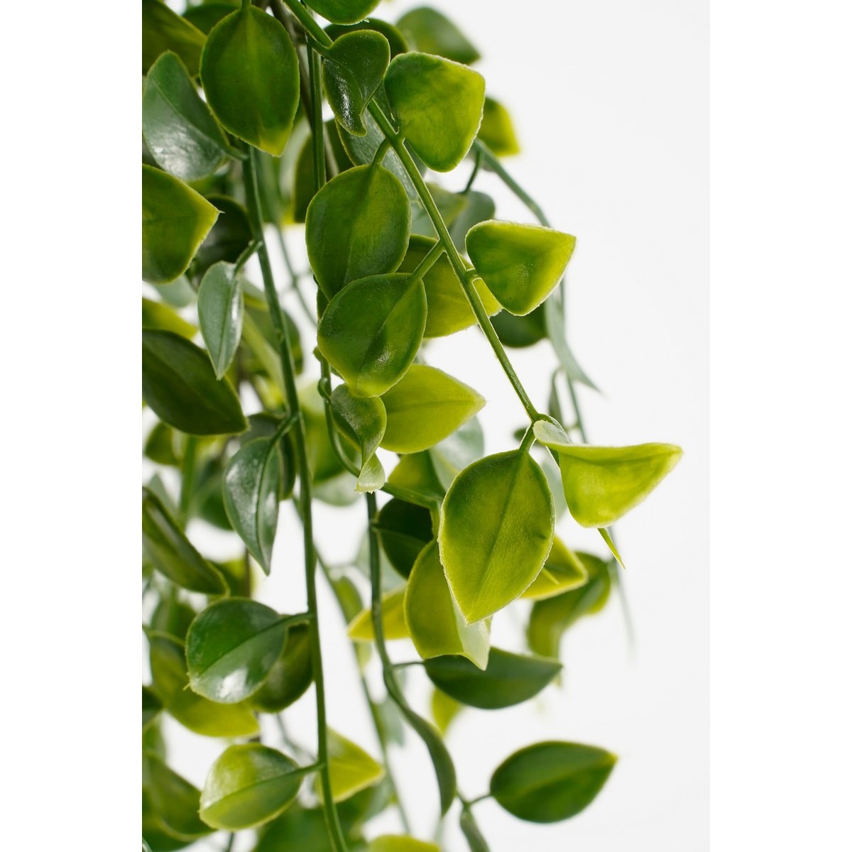 Mica Decorations - Ficus Kunst Hangplant in Pot - H46 x Ø20 cm - Groen