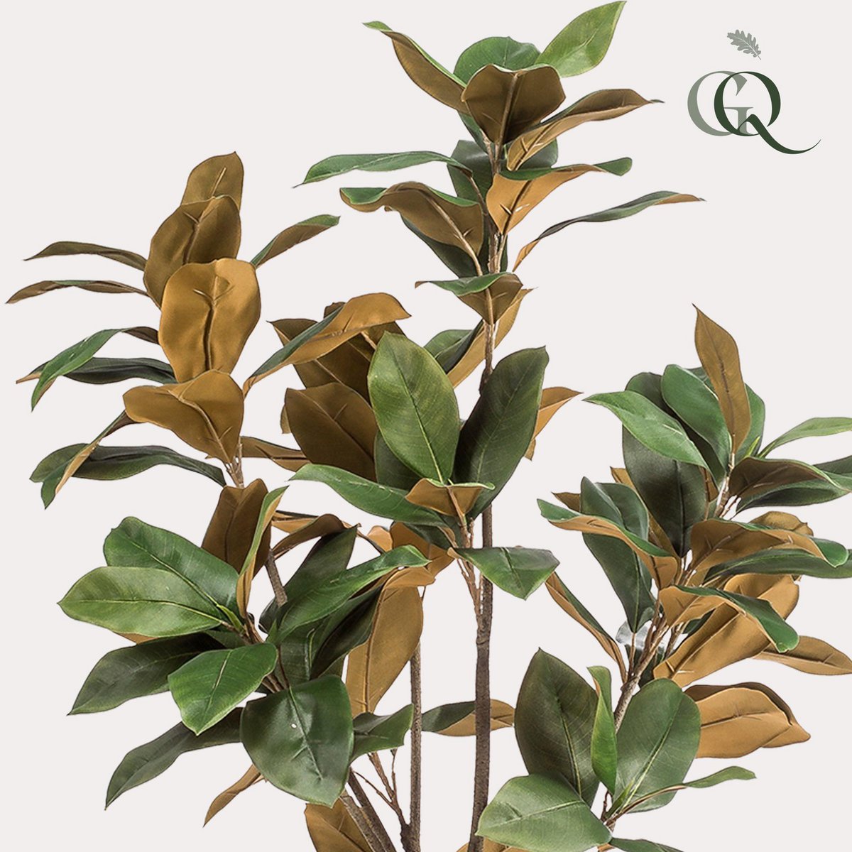 Green boutiQ - Kunstplant - Magnolia Grandiflora  - 150 cm