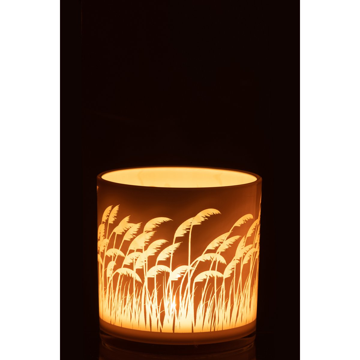 J-Line - Windlicht Pampas - Glas - Beige/Wit - Large