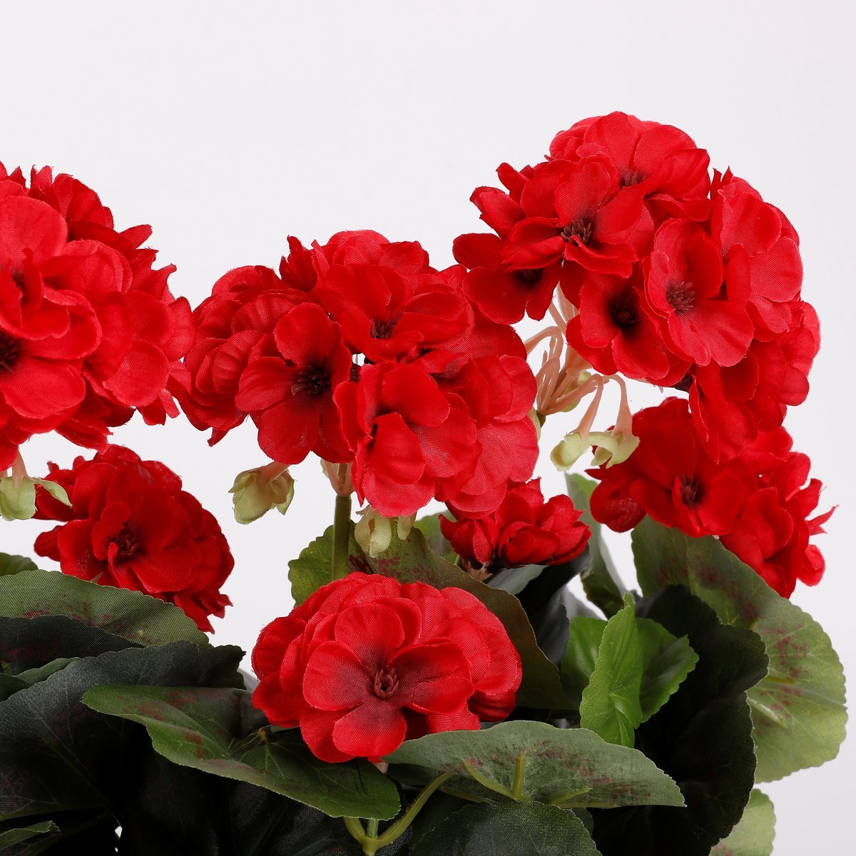 Mica Decorations - Geranium Kunstplant in Balkonbak - L29 x B13 x H40 cm - Rood