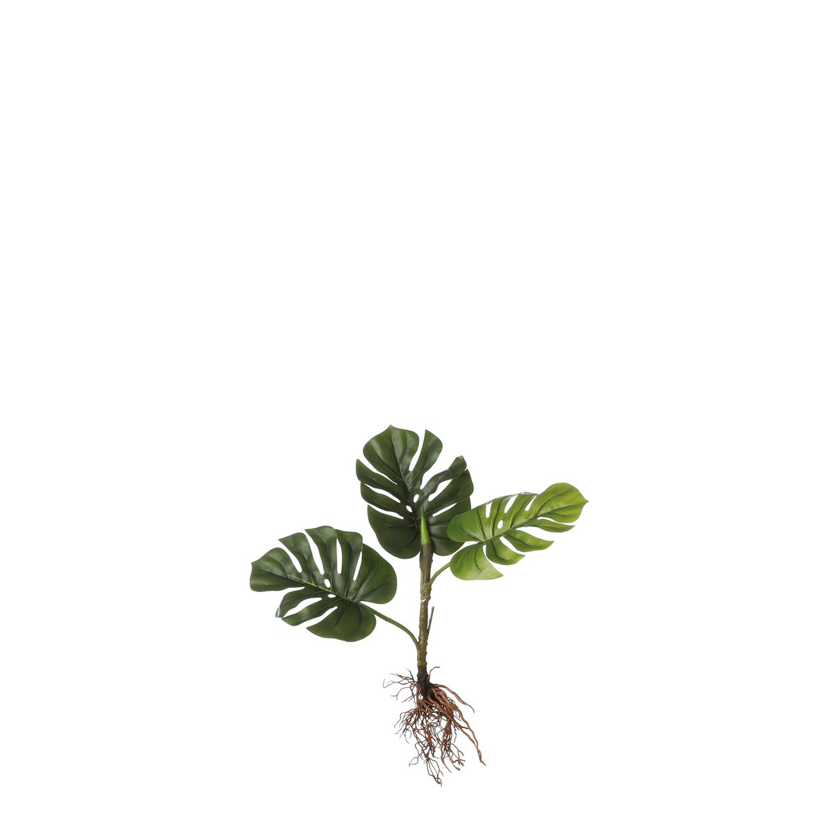 Mica Decorations - Monstera Kunstplant - L12 x B21 x H54 cm - Groen