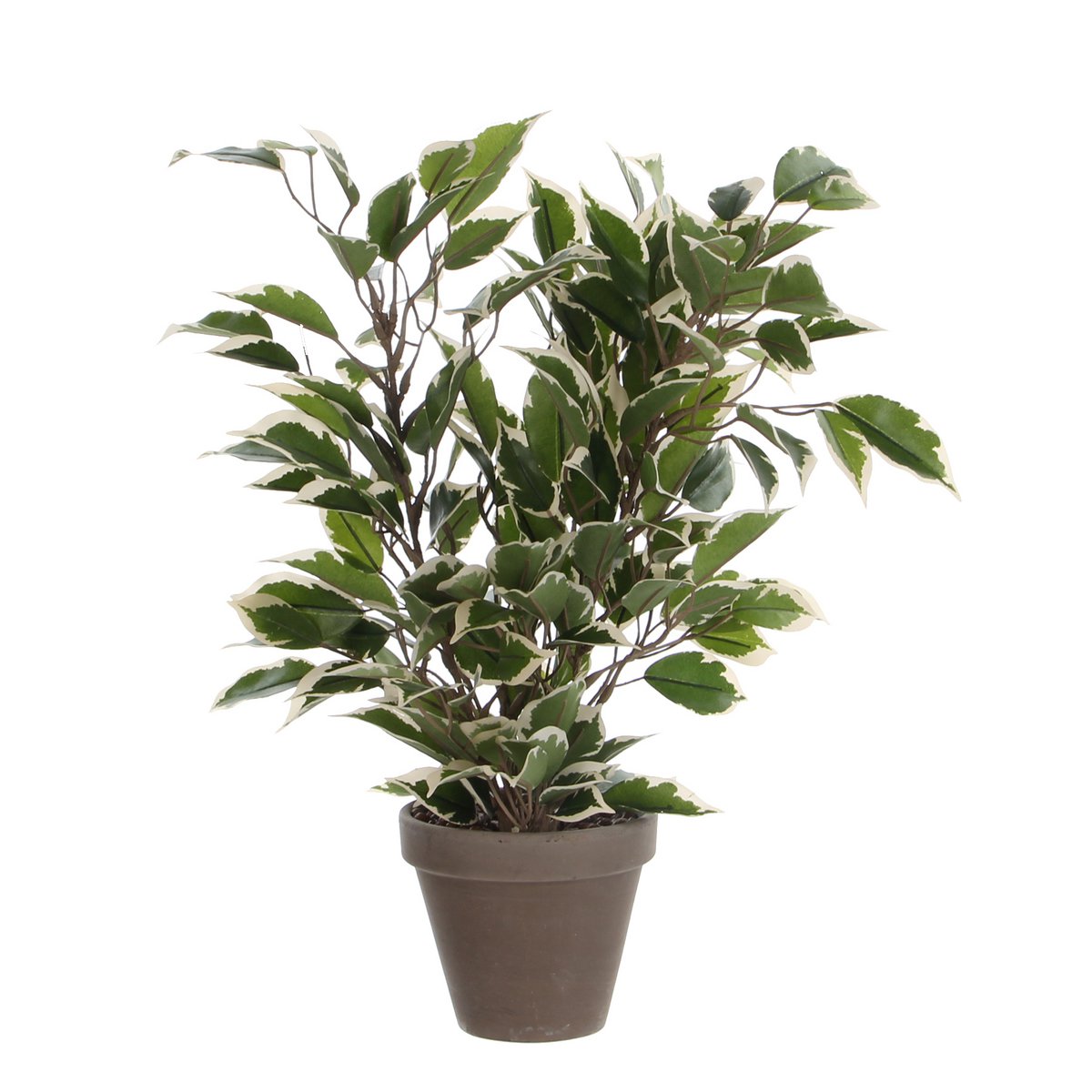 Mica Decorations - Ficus Natasja Kunstplant in Bloempot Stan - H40 x Ø30 cm - Groen Bont