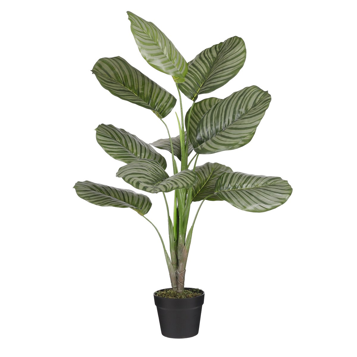 Mica Decorations - Calathea Orbifolia Kunstplant - H90 x Ø60 cm - Groen