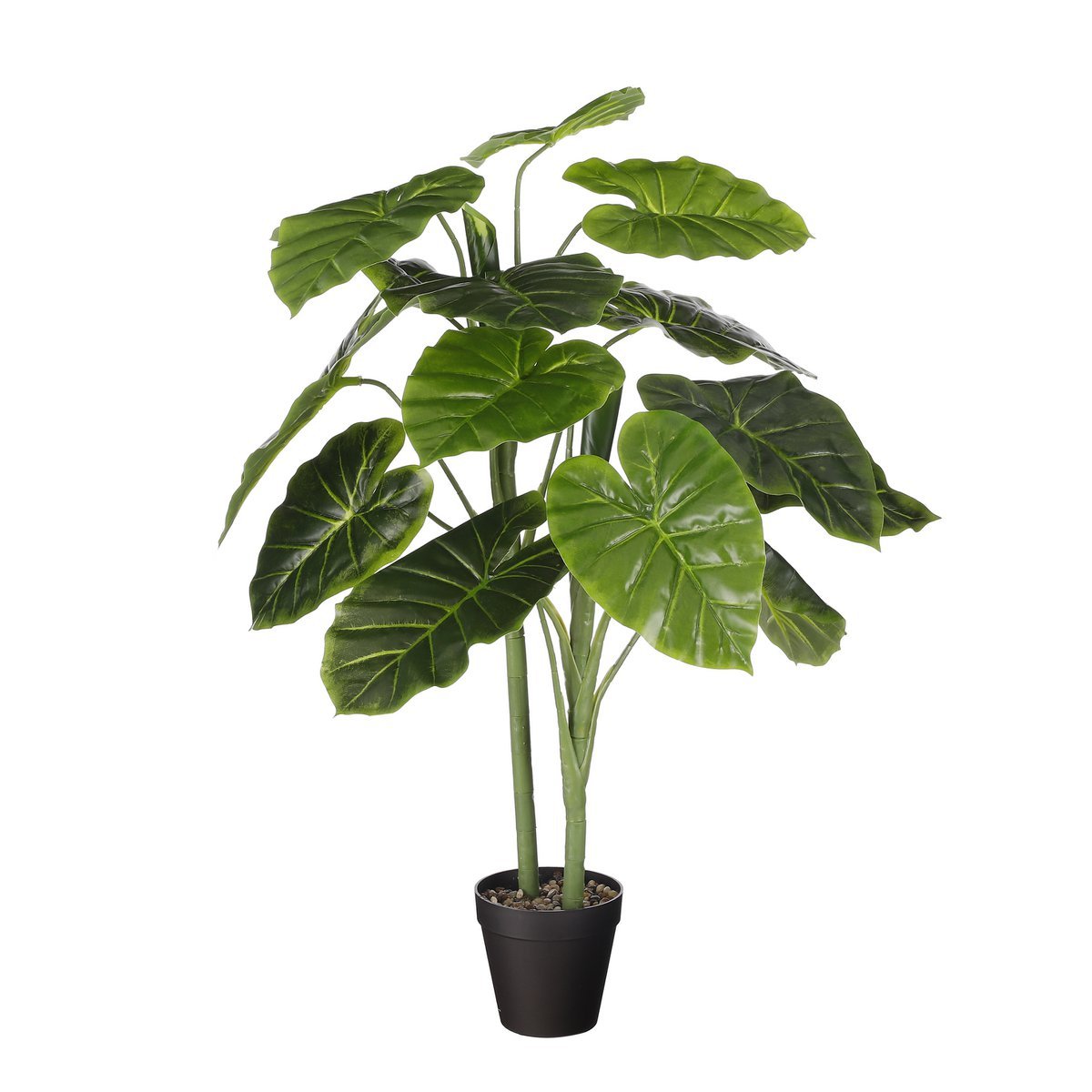 Mica Decorations - Alocasia Kunstplant in Bloempot - H100 x Ø50 cm - Groen