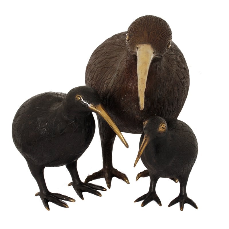 Pole to Pole - H29 Kiwi Vogel S