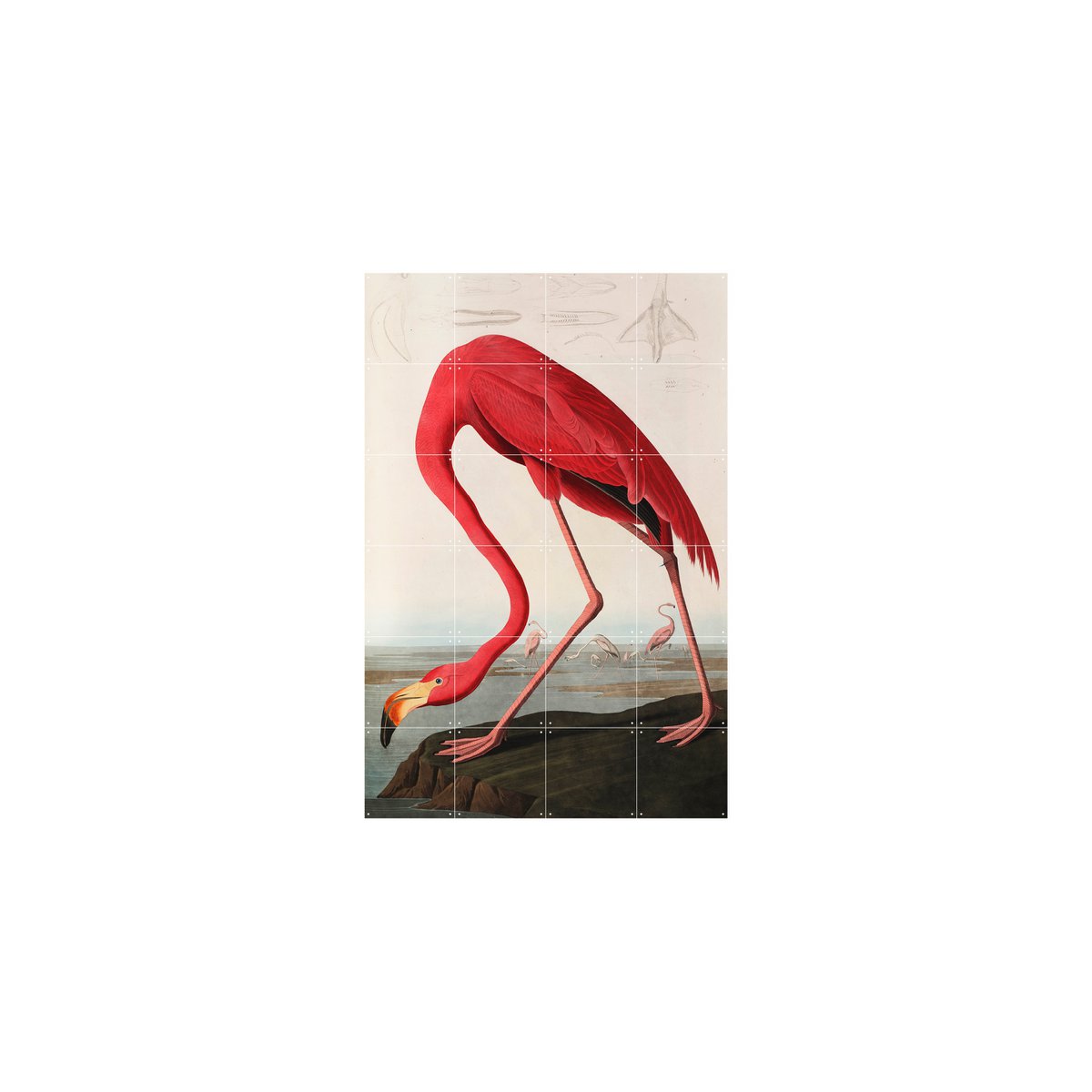 IXXI - Flamingo - Aubudon Wall art - Poster - Wanddecoratie - S - orange