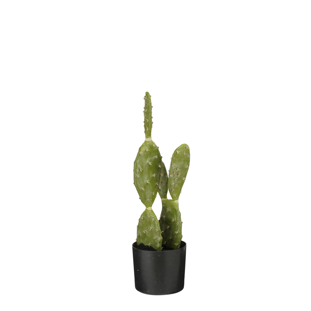 Mica Decorations - Cactus Kunstplant in Bloempot - H50 x Ø25 cm - Groen