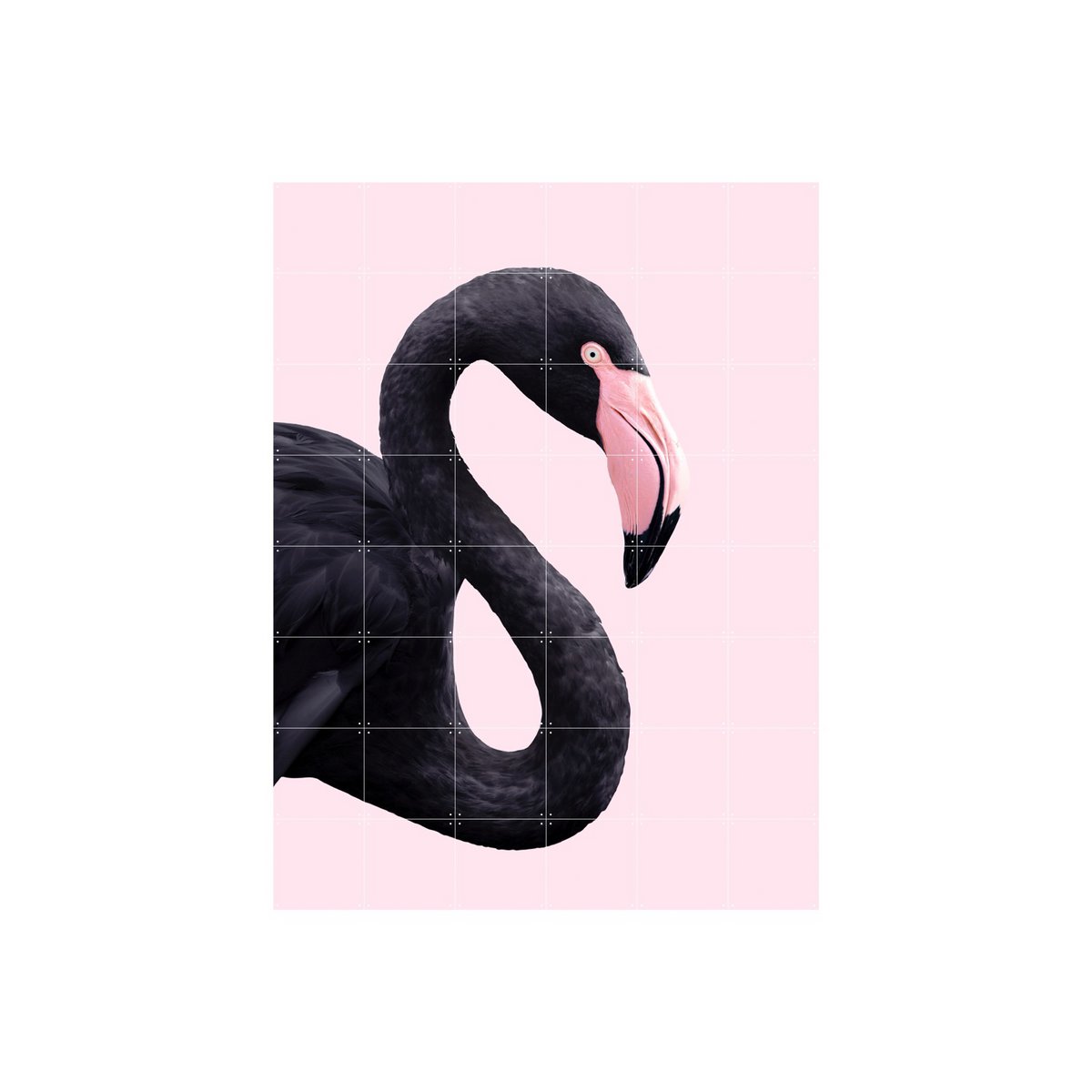 IXXI - Zwarte flamingo Wall art - Poster - Wanddecoratie - S - black