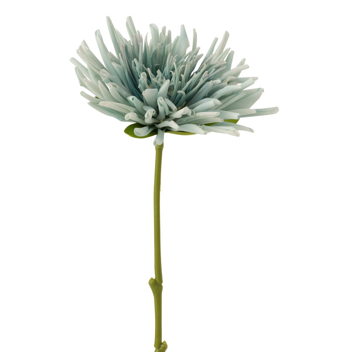 J-Line - Chrysant Mini Plastic Wit Licht Blauw