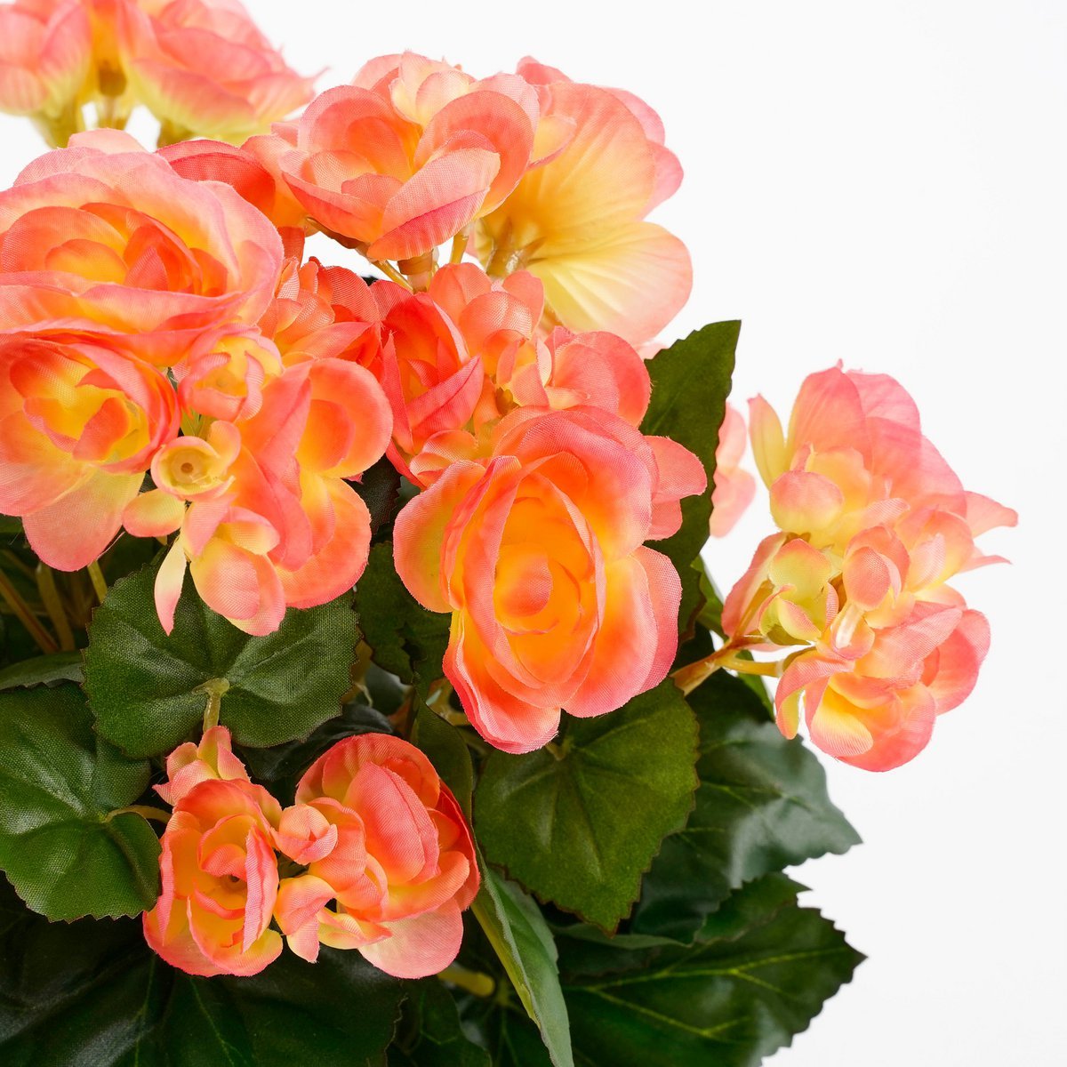 Mica Decorations - Begonia Kunstplant in Bloempot Stan - H30 x Ø25 cm - Zalmroze