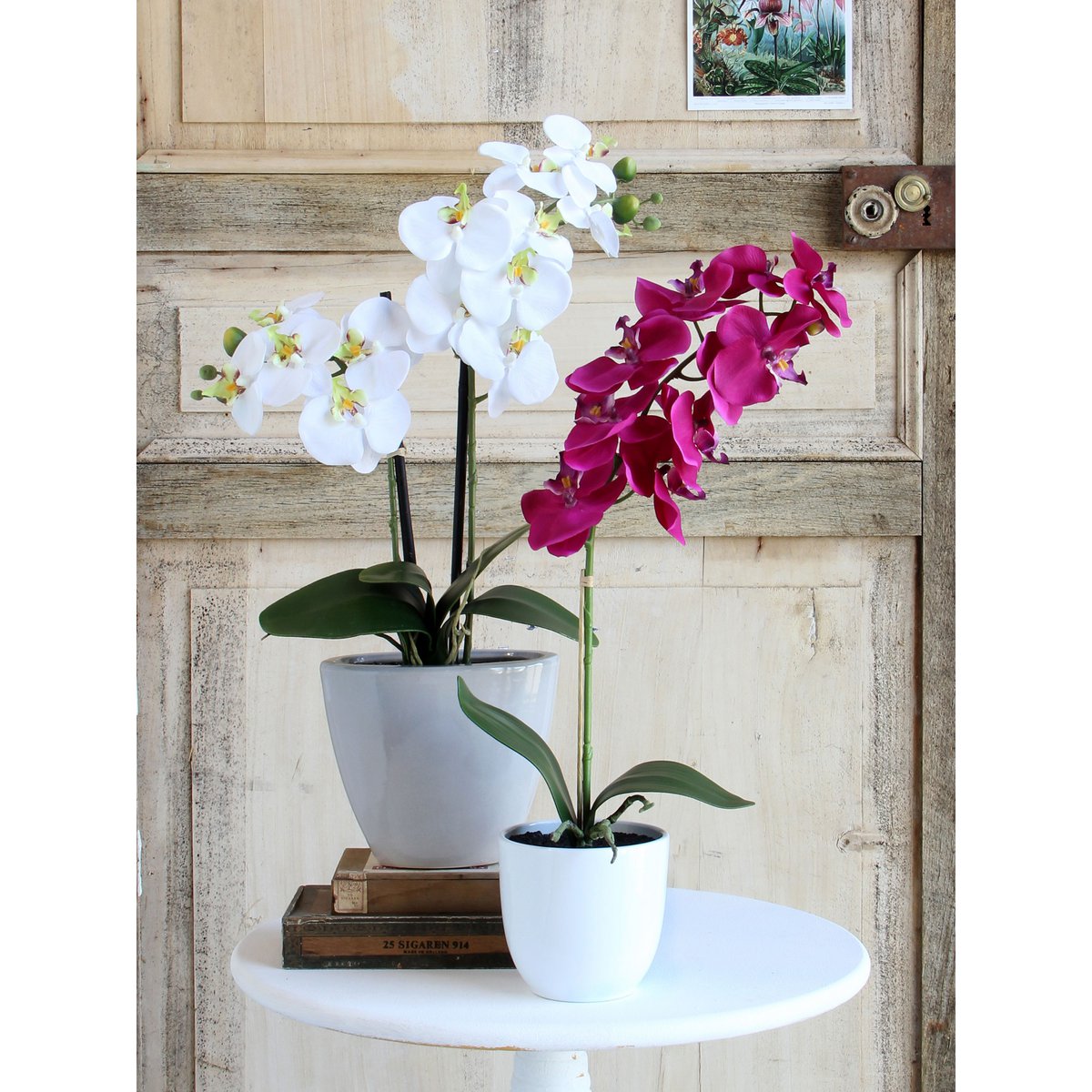 Mica Decorations - Phalaenopsis Kunstplant in Bloempot Tusca - H60 x Ø16 cm - Paars