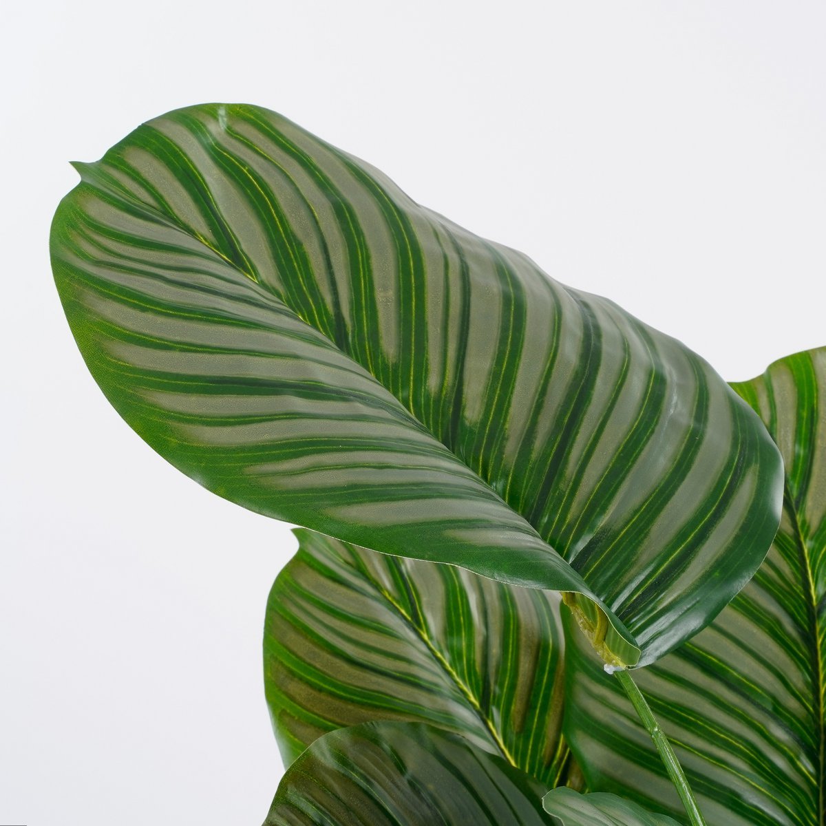 Mica Decorations - Calathea Orbifolia Kunstplant - H90 x Ø60 cm - Groen