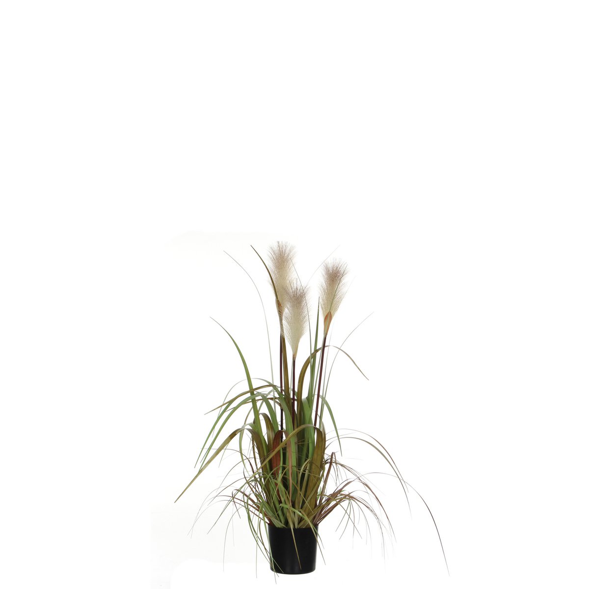 Mica Decorations - Pluimgras Foxtail Kunstplant - H81 x Ø45 cm - Wit