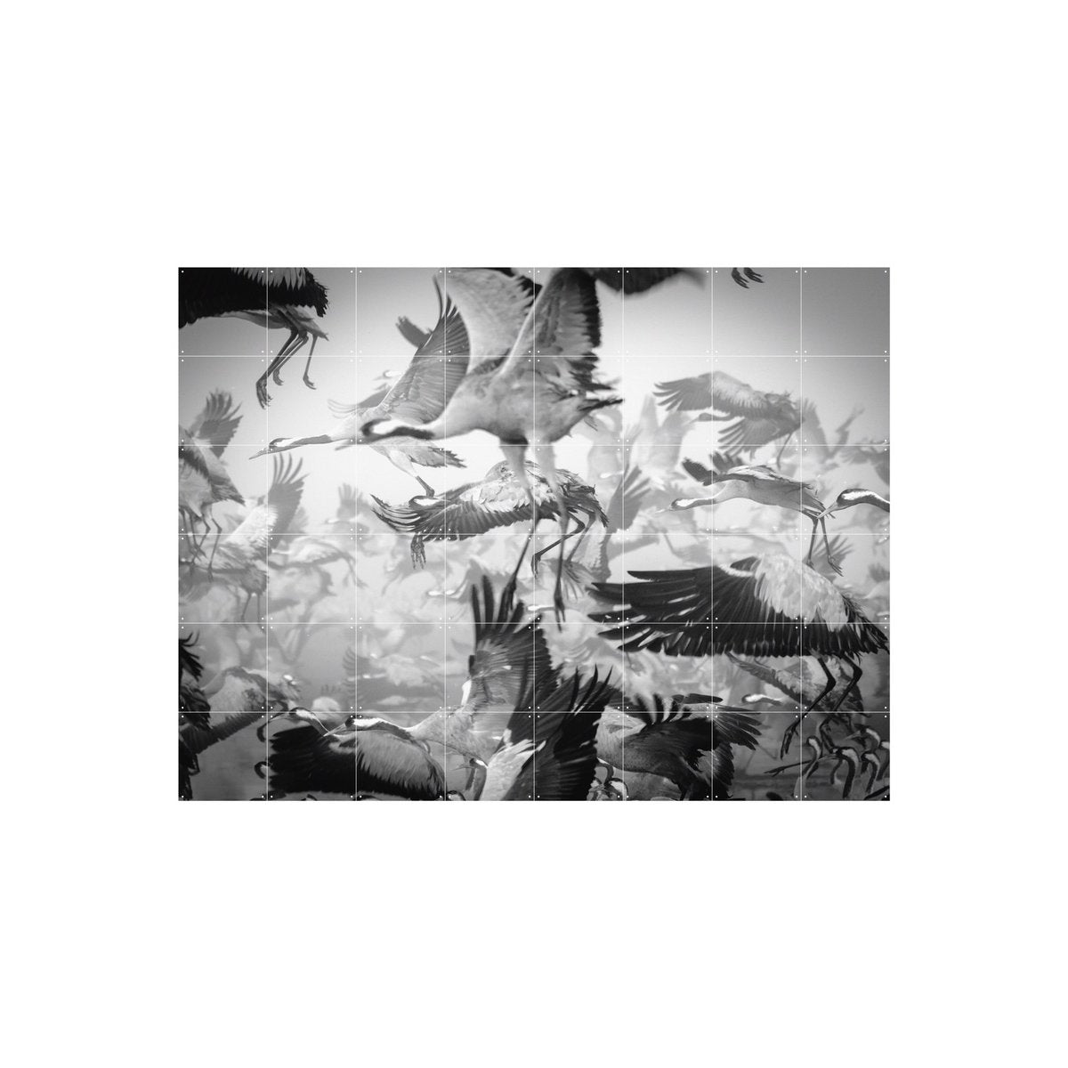 IXXI - Bird Migration Wall art - Poster - Wanddecoratie - L - 160x120