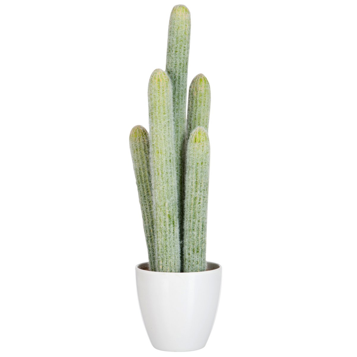 J-Line - Cactus 5Delig Licht Groen