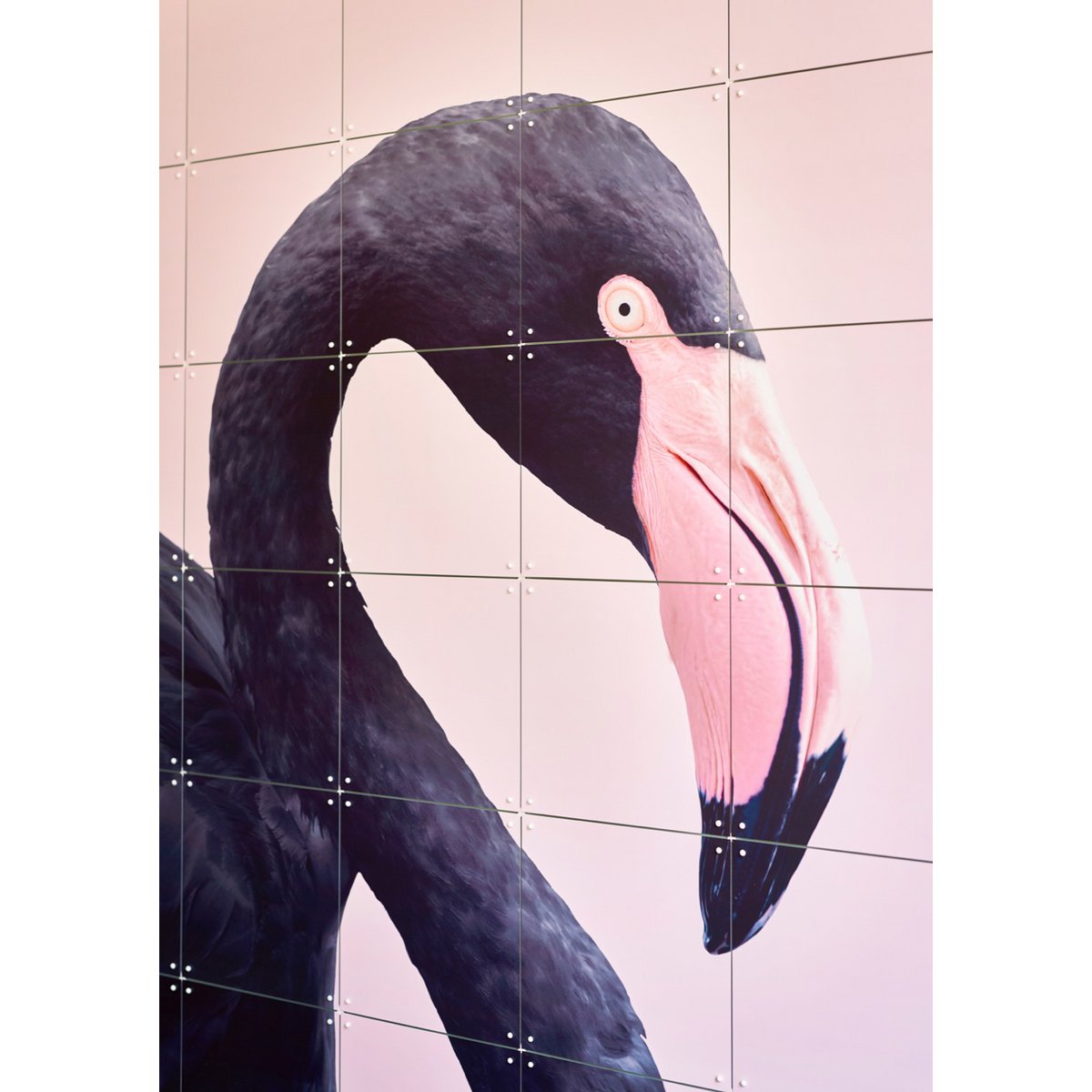 IXXI - Zwarte flamingo Wall art - Poster - Wanddecoratie - L - black