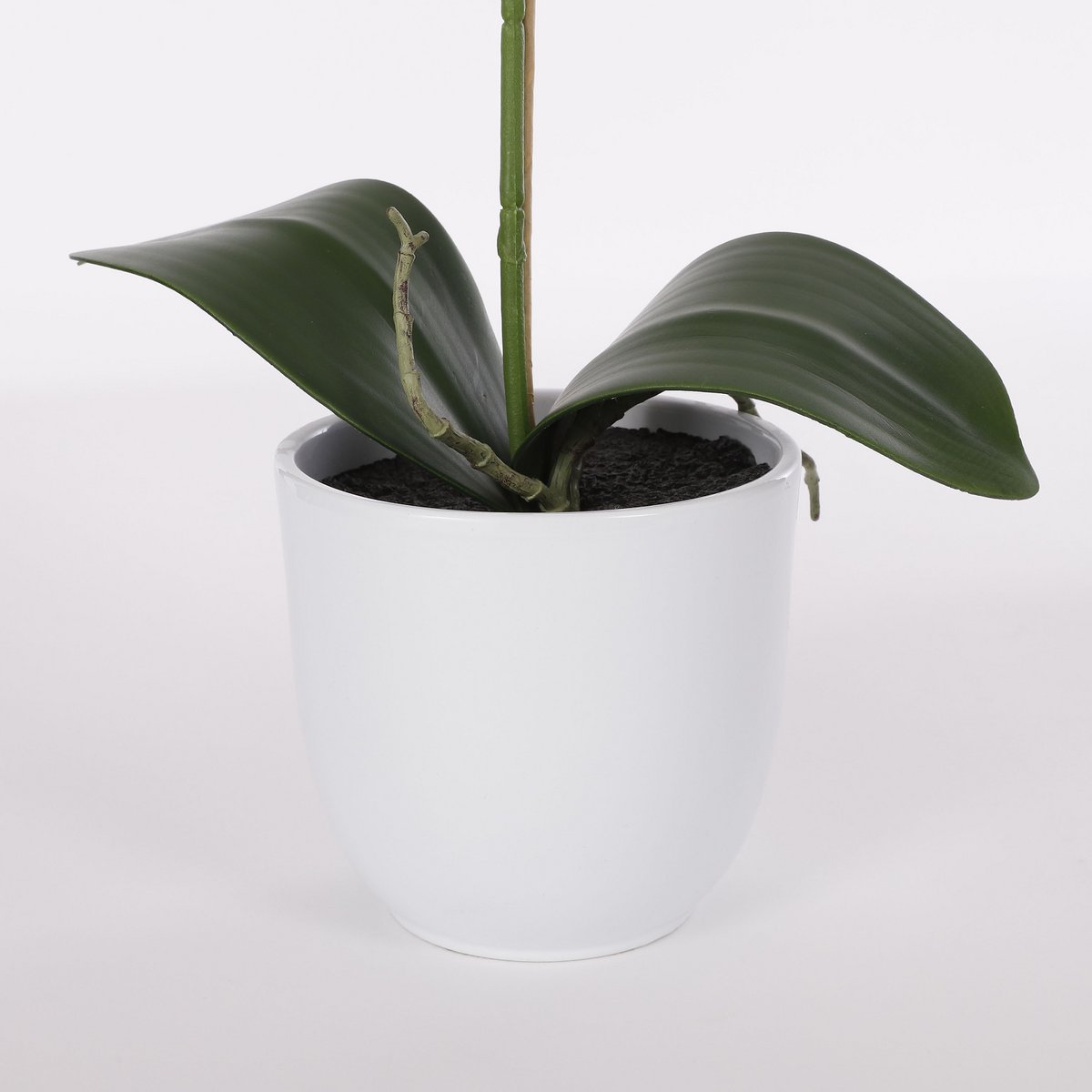 Mica Decorations - Phalaenopsis Kunstplant in Bloempot Tusca - H60 x Ø16 cm - Paars