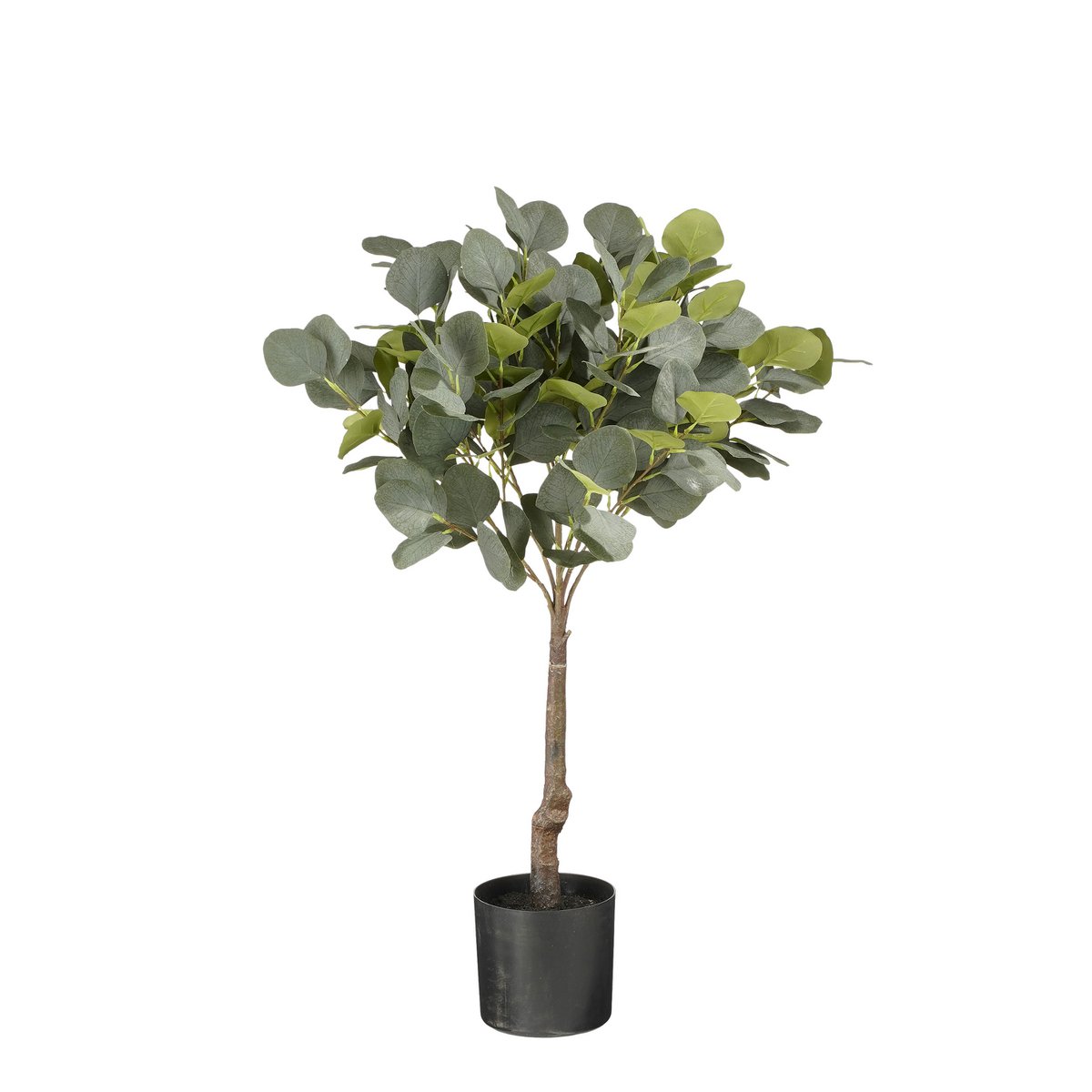 Mica Decorations - Eucalyptus Kunstplant in Bloempot - H75 x Ø15 cm - Groen