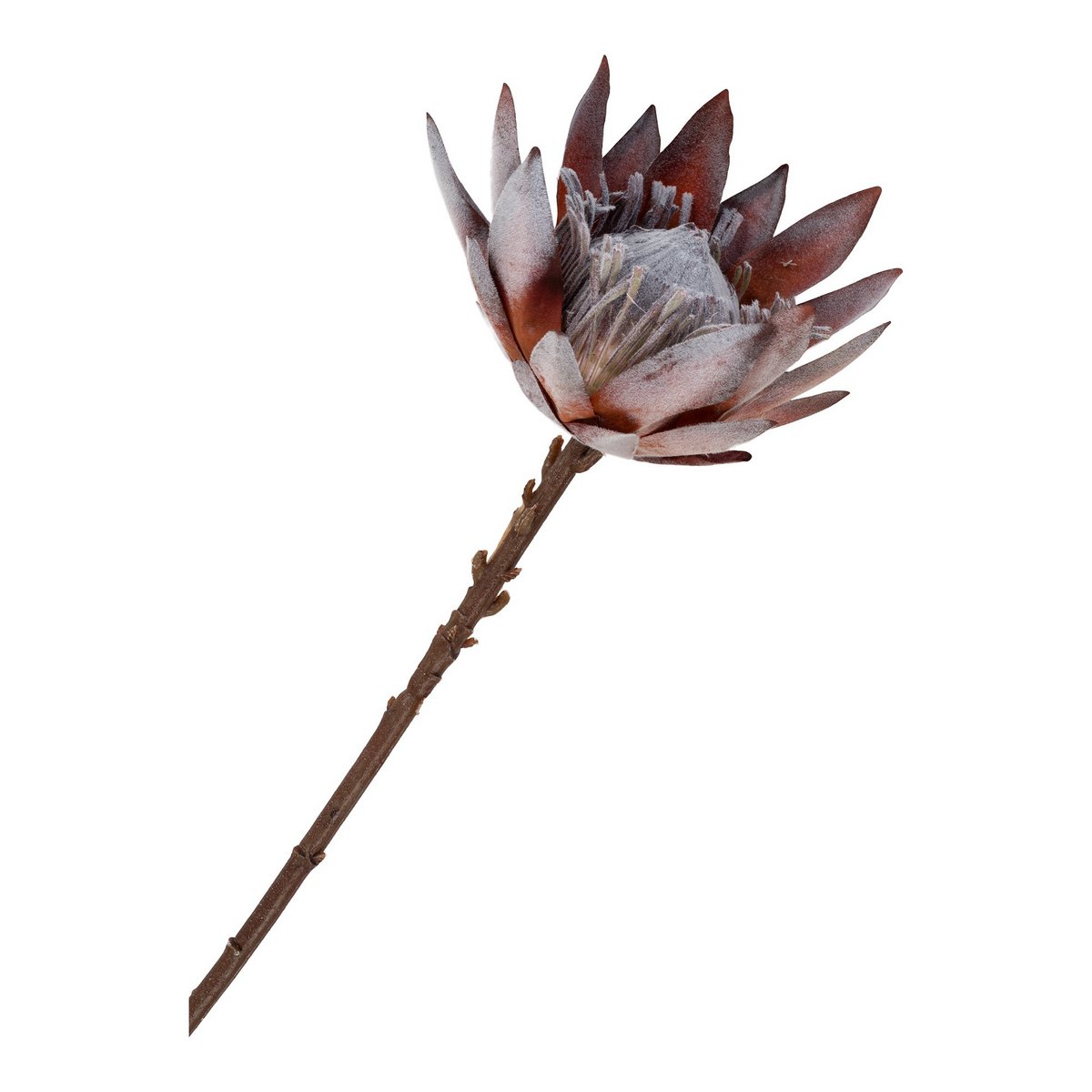 House Nordic - King Protea Boeket - Kunstbloemen, rozenmix, 74 cm