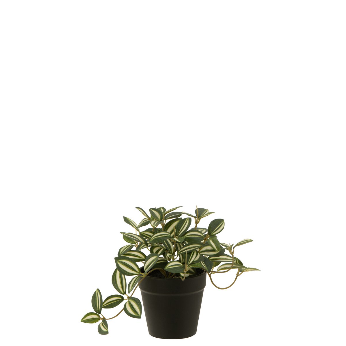 J-Line - Pant Tradescantia In Pot - Kunststof - Groen/Wit