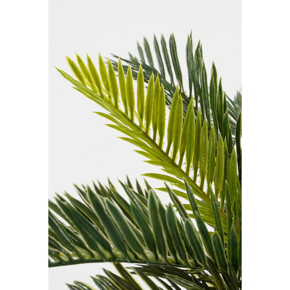 Mica Decorations - Cycas Palm Kunstplant in Bloempot Stan - H33 x Ø34 cm - Groen