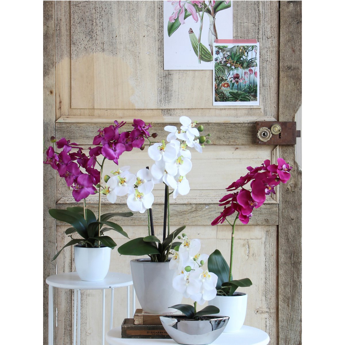 Mica Decorations - Phalaenopsis Kunstplant in Bloempot Tusca - H66 x Ø38 cm - Crème