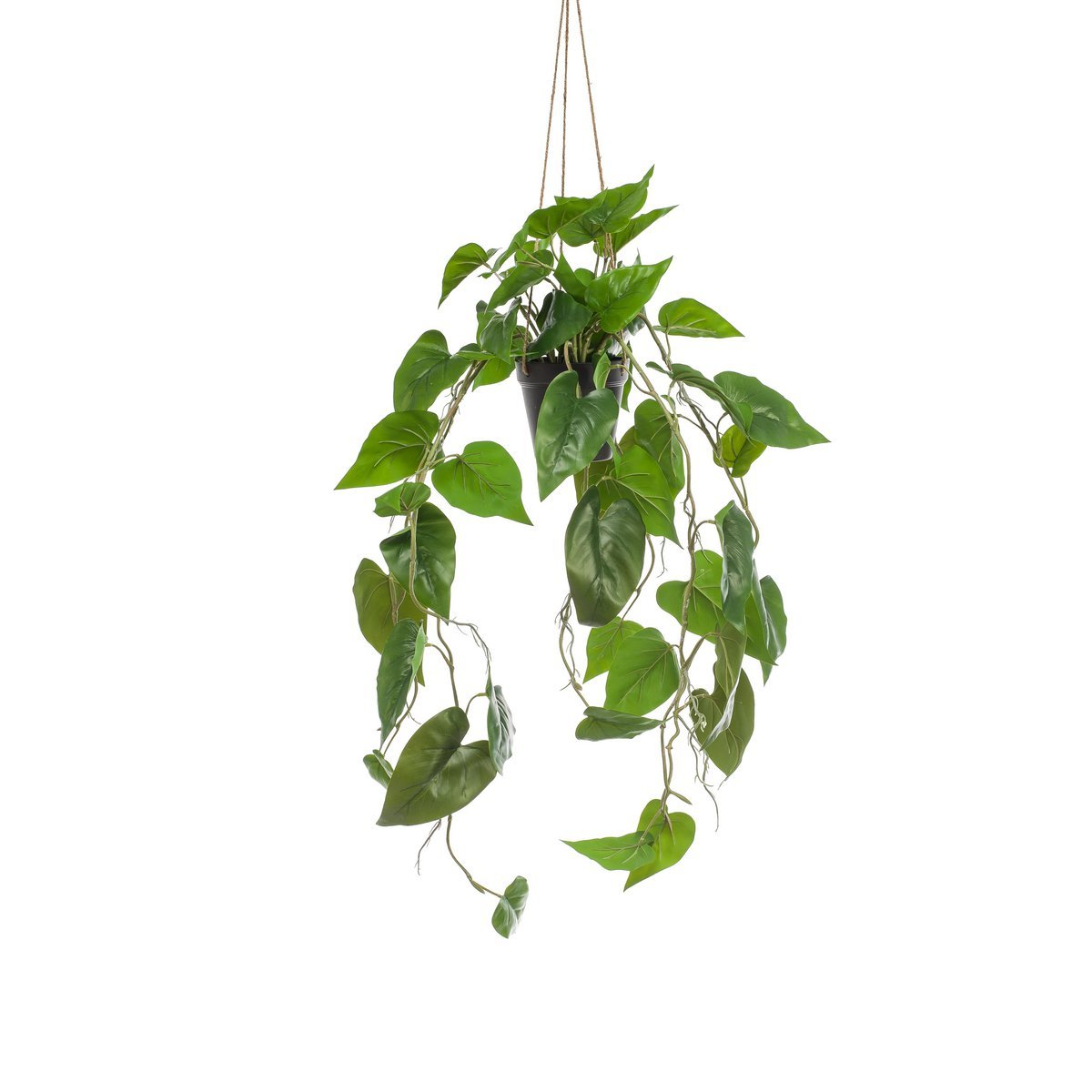 Green BoutiQ - Kunstplant - Philodendron scandens - Klimmende Boomliefhebber - 80 cm