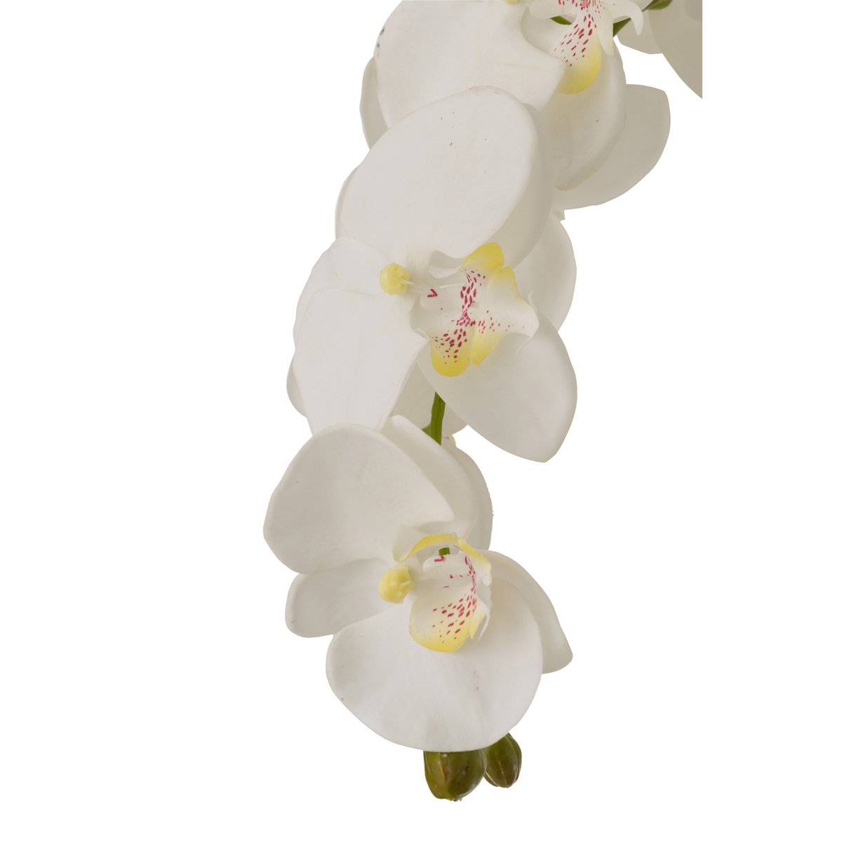 J-Line - Orchidee In Aarde Plastic Wit/Groen Extra Large