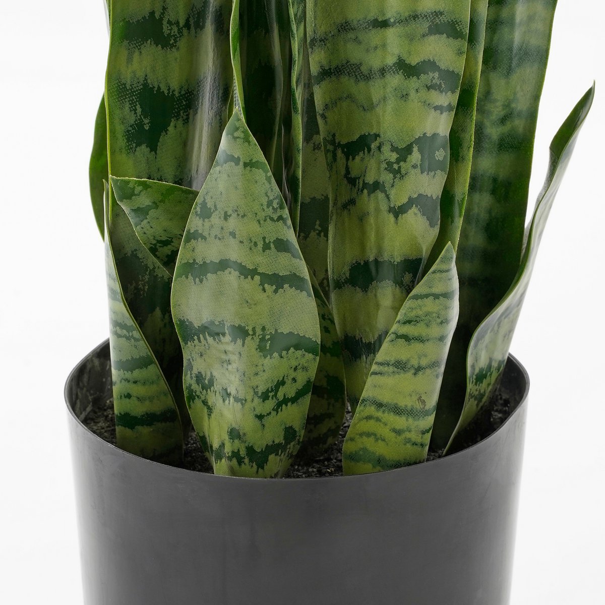 Mica Decorations - Sanseveria Kunstplant in Bloempot - H80 x Ø15 cm - Groen