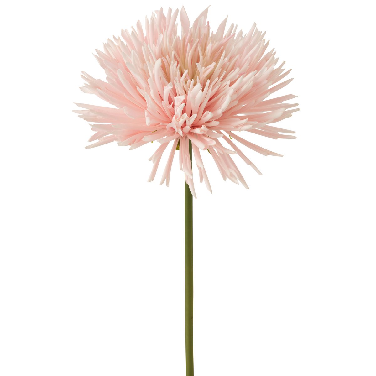 J-Line - Chrysant Plastic Wit Licht Roze