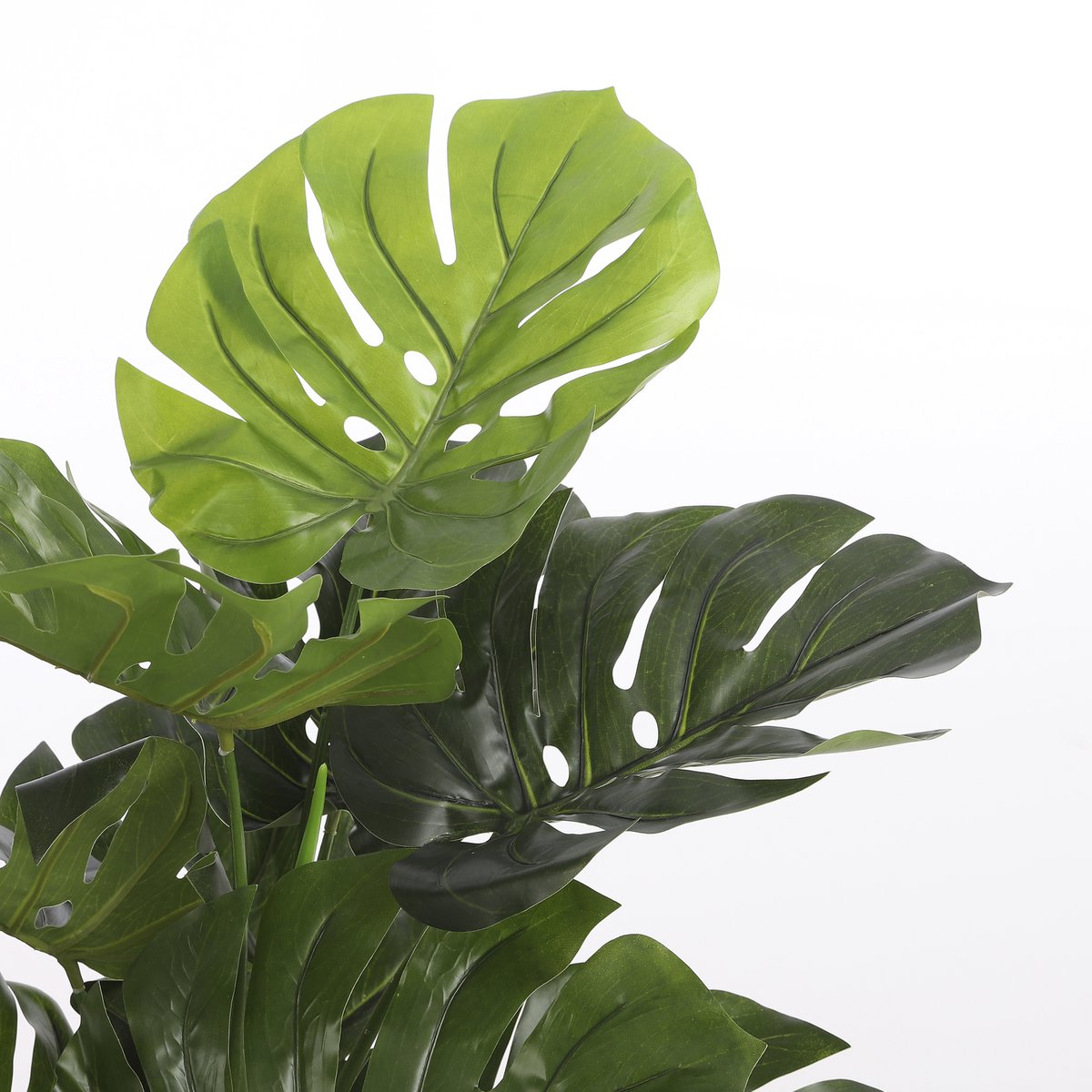 Mica Decorations - Monstera Kunstplant - H100 x Ø75 cm - Groen