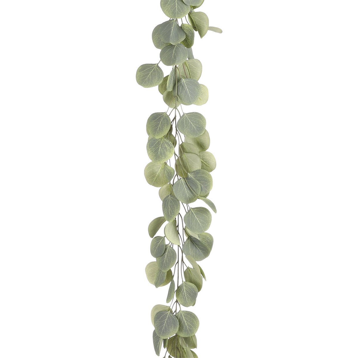 Mica Decorations - Eucalyptus Kunstslinger - L180 cm - Groen