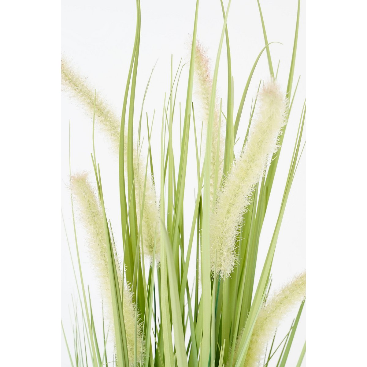 Mica Decorations - Dogtail Gras Kunstplant - H53 x Ø30 cm - Groen