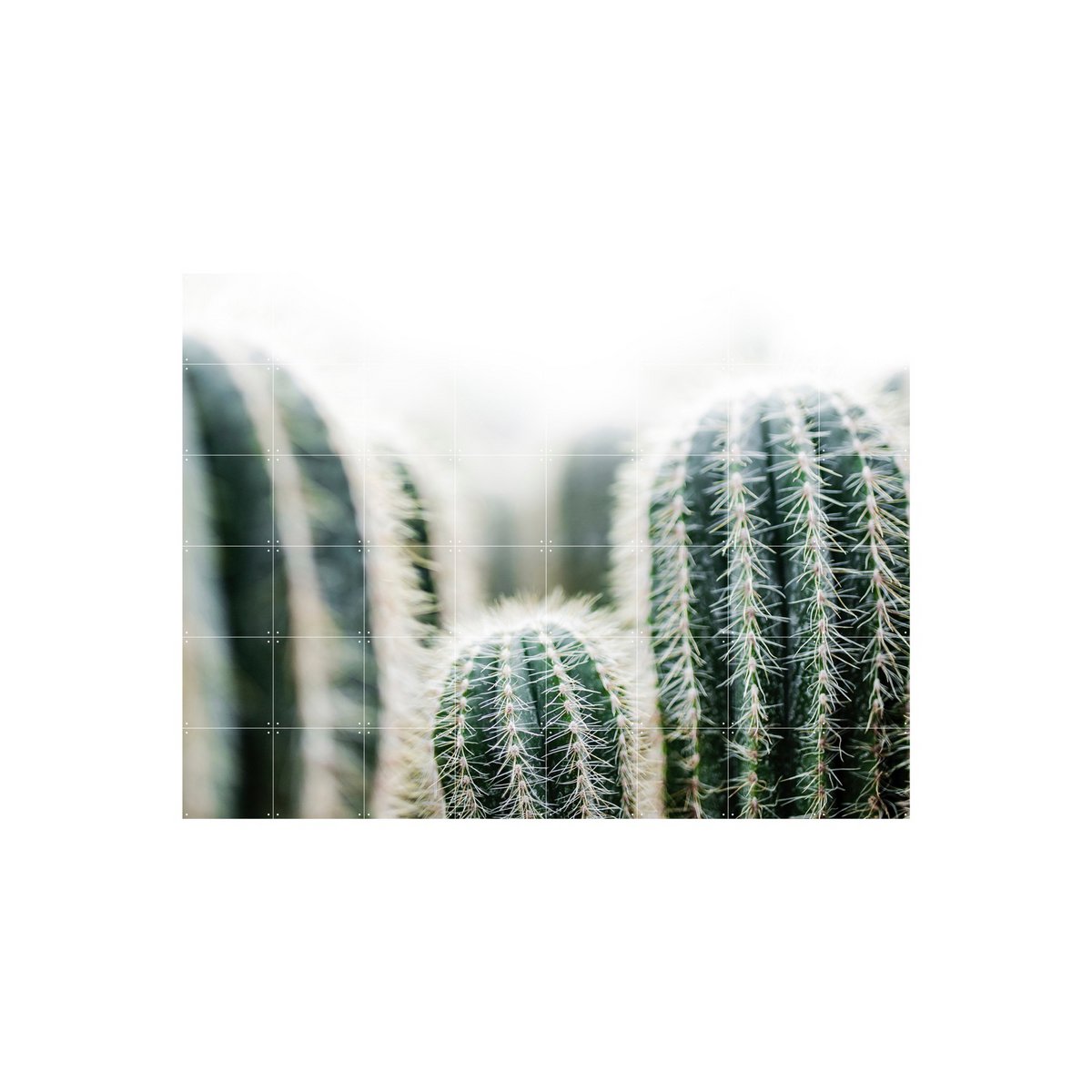 IXXI - Cactus en bladeren Wall art - Poster - Wanddecoratie - S - 100x80 - grey