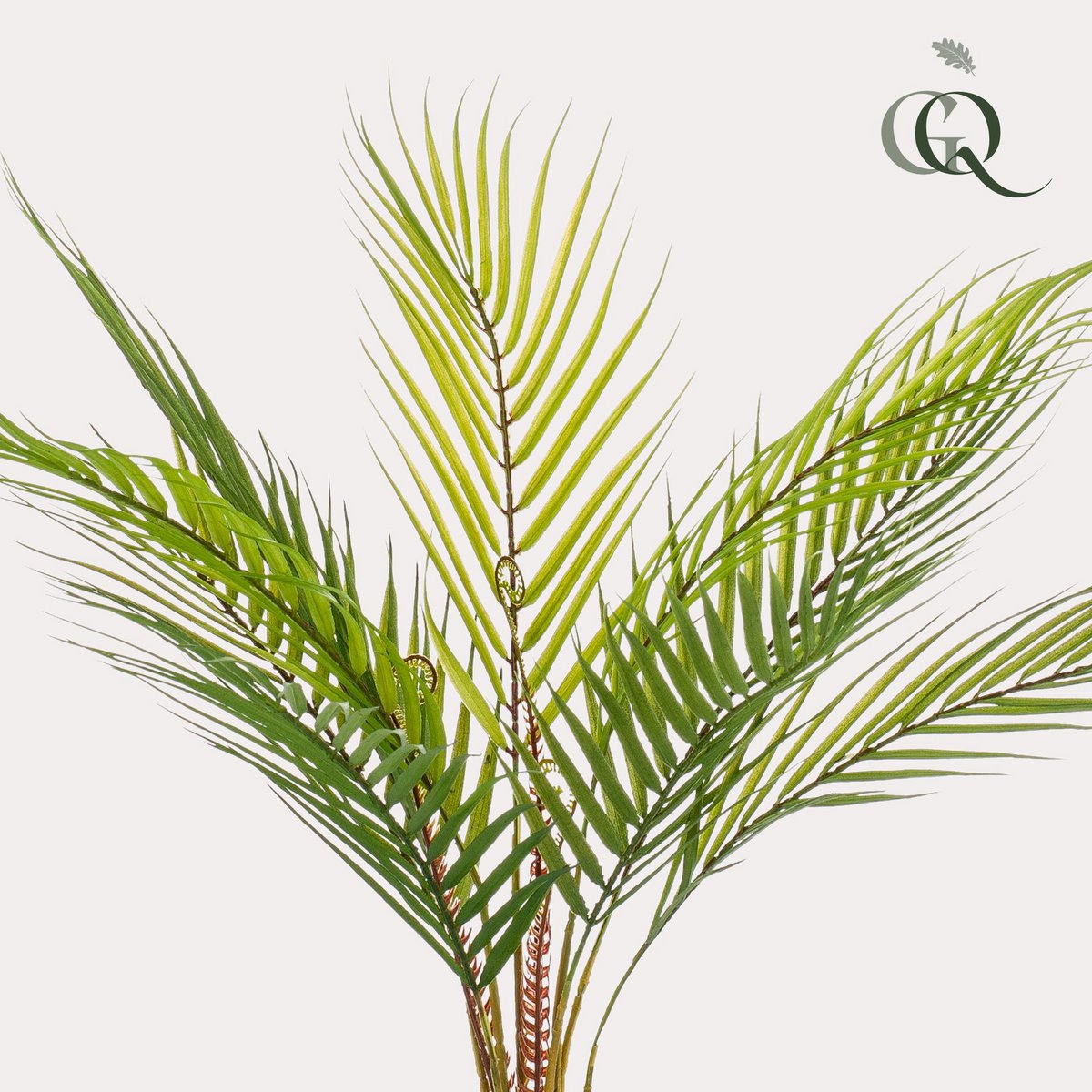 Green BoutiQ - Kunstplant - Chamaedorea - Bergpalm - 50 cm