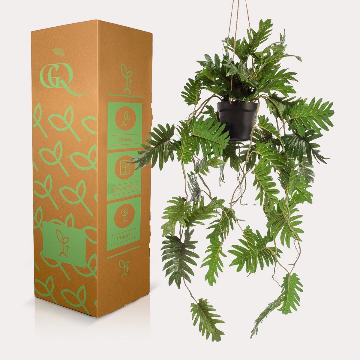 Green BoutiQ - Kunstplant - Philodendron - Klimmende boomliefhebber - 80 cm