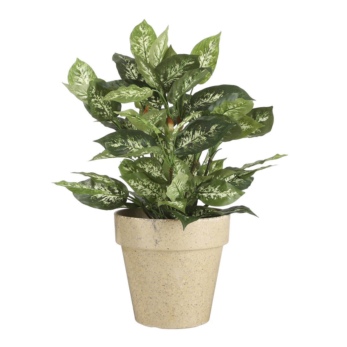 Mica Decorations - Dieffenbachia Kunstplant in Bloempot Stan - H70 x Ø55 cm - Groen