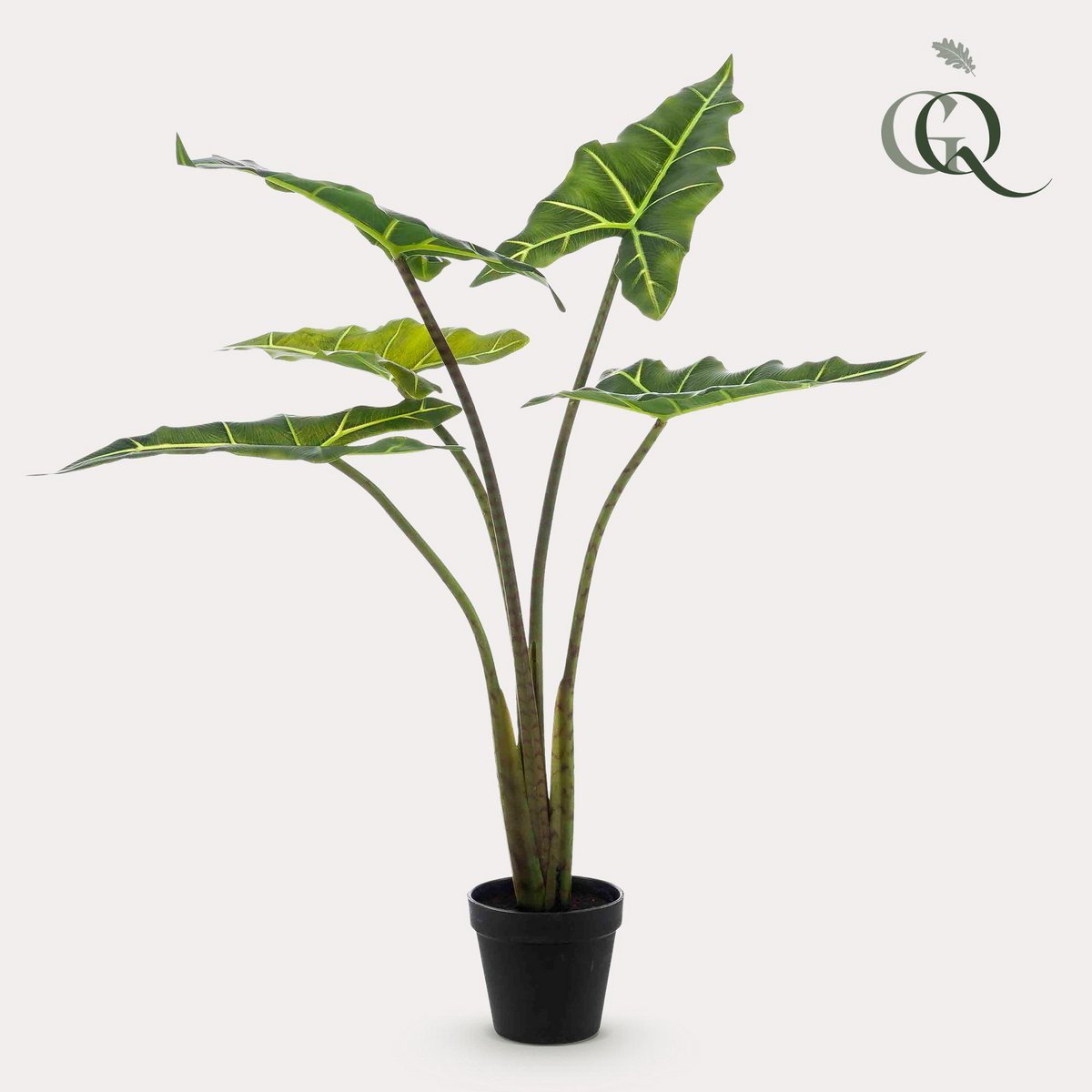 Green BoutiQ - Kunstplant - Alocasia Frydek - Olifantsoor - 80 cm