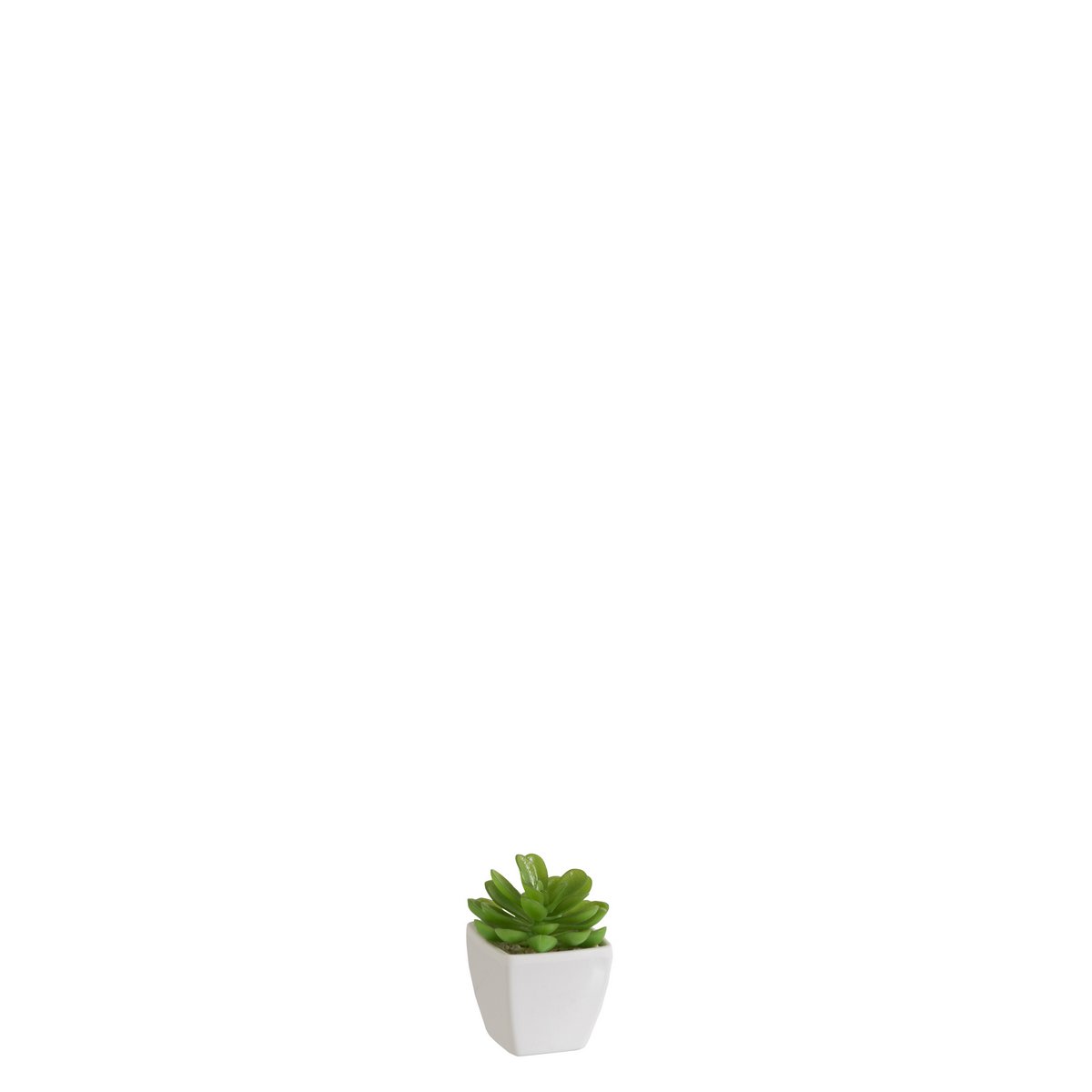 J-Line - Succulent+Pot Groen/Melamine Wit