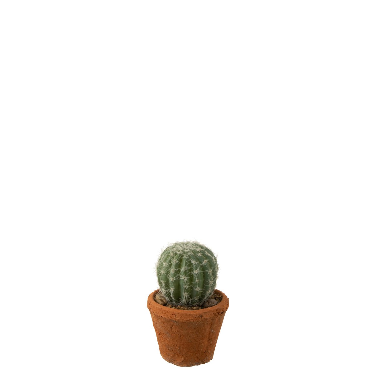 J-Line - Cactus Rond In Pot Kunststof Groen