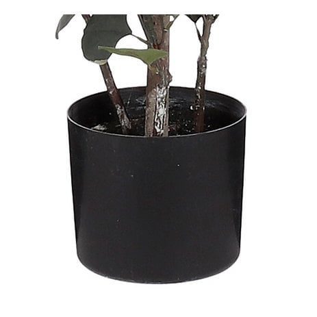 Mica Decorations - Eucalyptus Kunstplant in Bloempot - H150 x Ø30 cm - Groen