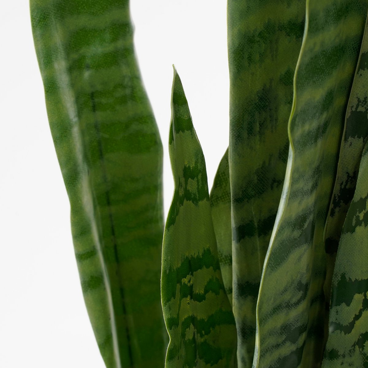 Mica Decorations - Sanseveria Kunstplant in Bloempot - H80 x Ø15 cm - Groen