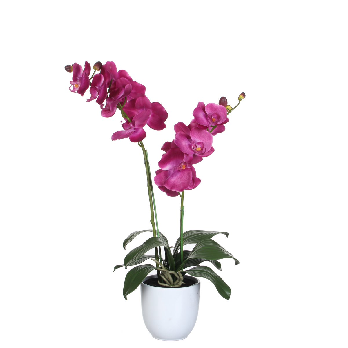 Mica Decorations - Phalaenopsis Kunstplant in Bloempot Tusca - H66 x Ø38 cm - Paars