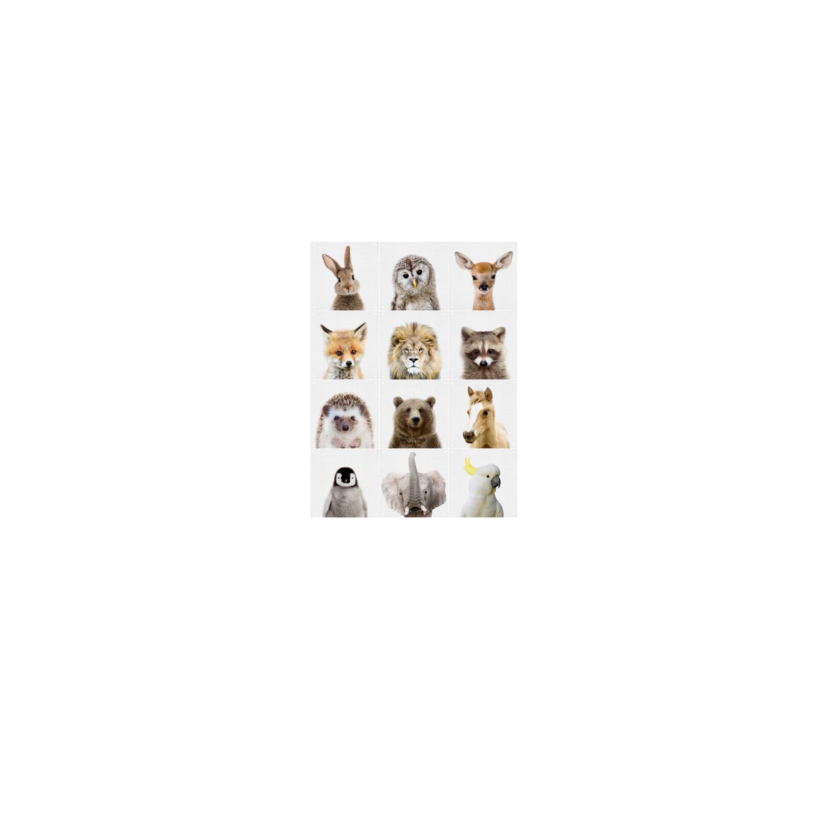 IXXI - Dierenfamilie Wall art - Poster - Wanddecoratie