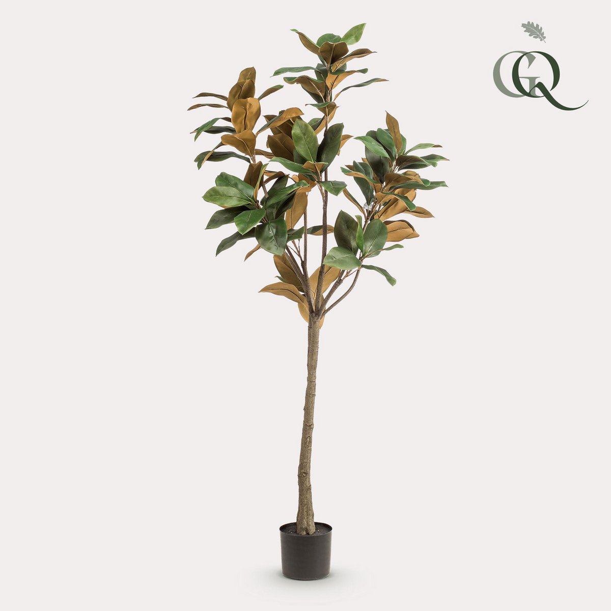 Green boutiQ - Kunstplant - Magnolia Grandiflora  - 150 cm