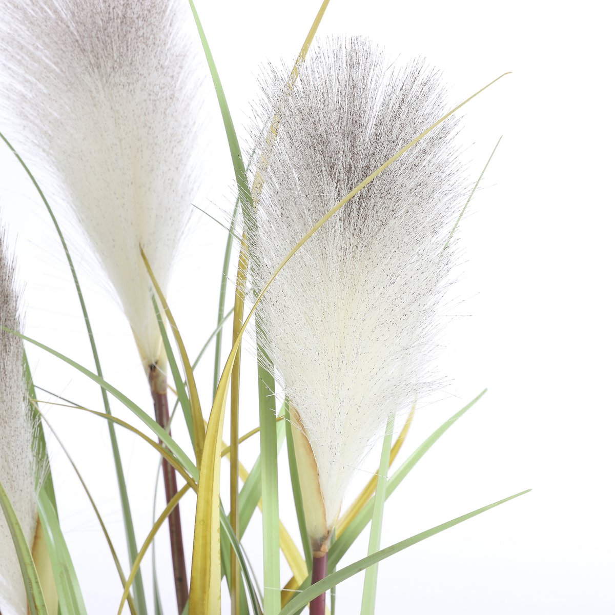 Mica Decorations - Pluimgras Foxtail Kunstplant - H81 x Ø45 cm - Wit