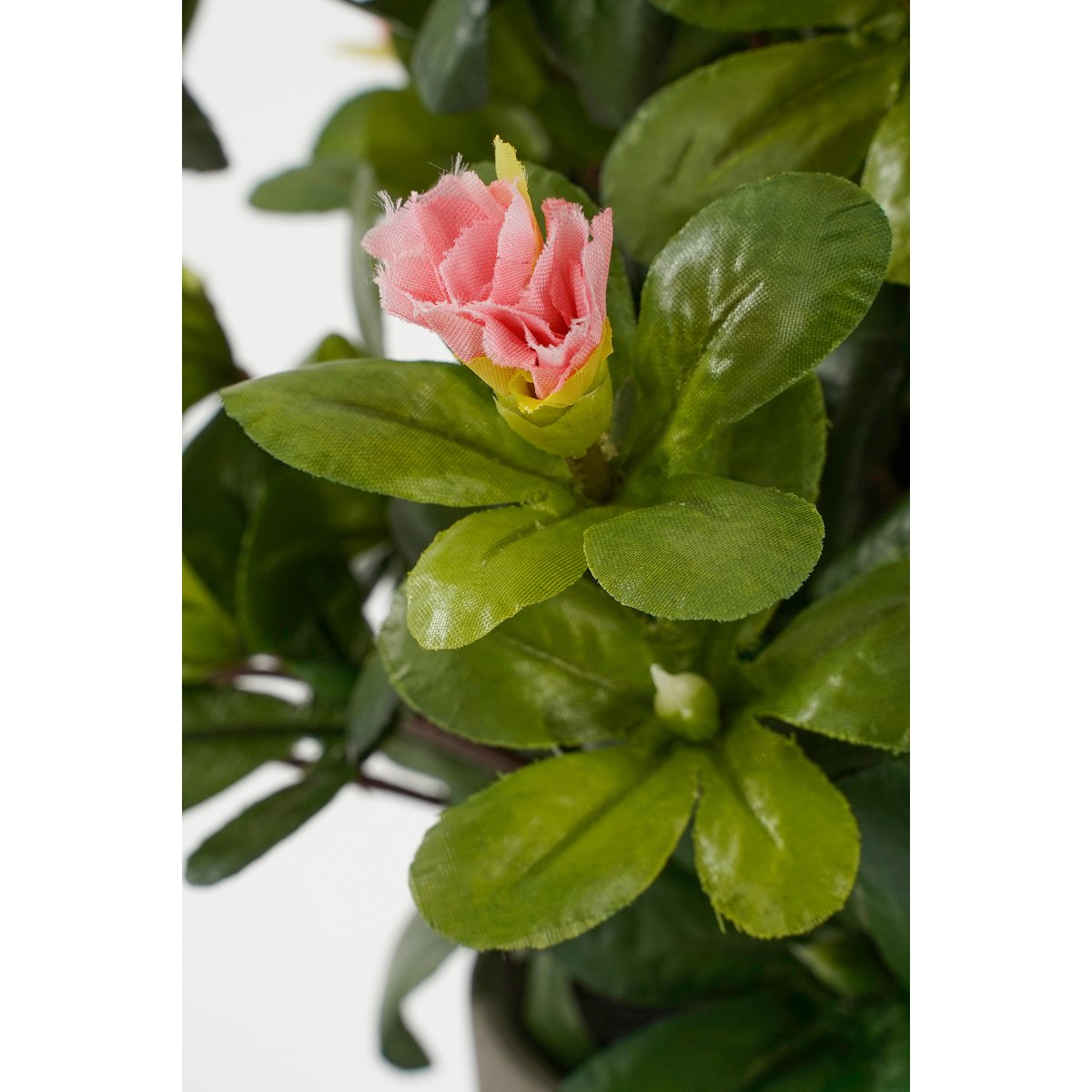 Mica Decorations - Azalea Kunstplant in Bloempot Stan - H31 x Ø26 cm - Perzik