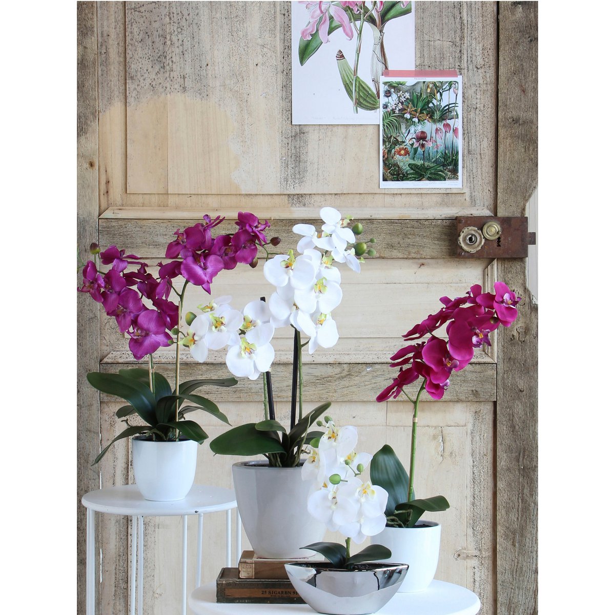 Mica Decorations - Phalaenopsis Kunstplant in Bloempot Tusca - H60 x Ø16 cm - Paars