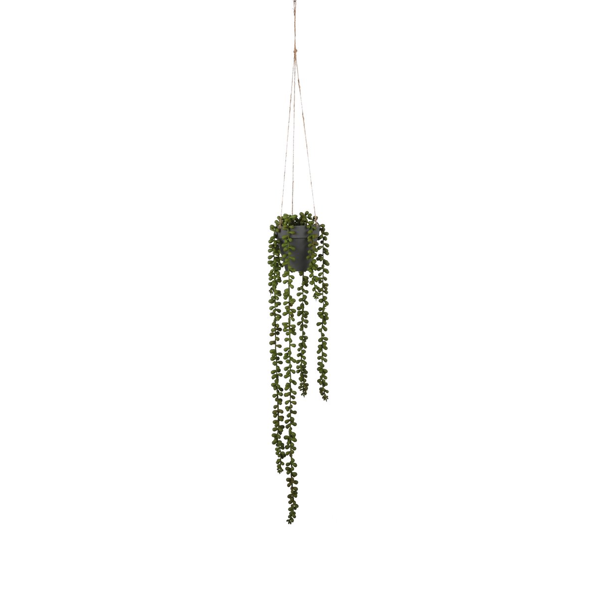 Mica Decorations - Senecio Kunst Hangplant - H56 x Ø9 cm - Groen